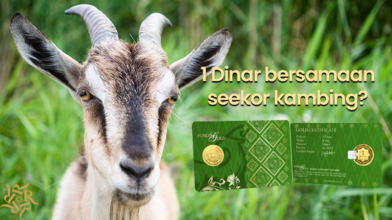 Kisah 1 Dinar: Nilainya Tidak Pernah Berubah 1 Dinar dan Seekor Kambing
